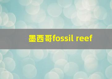 墨西哥fossil reef